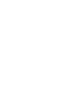 Toronto